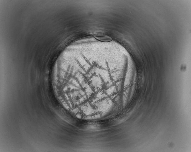 X0000101120263200807241206