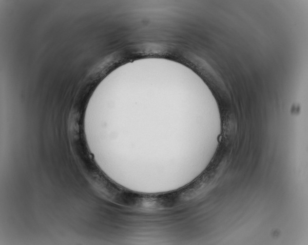X0000101120264200807241206