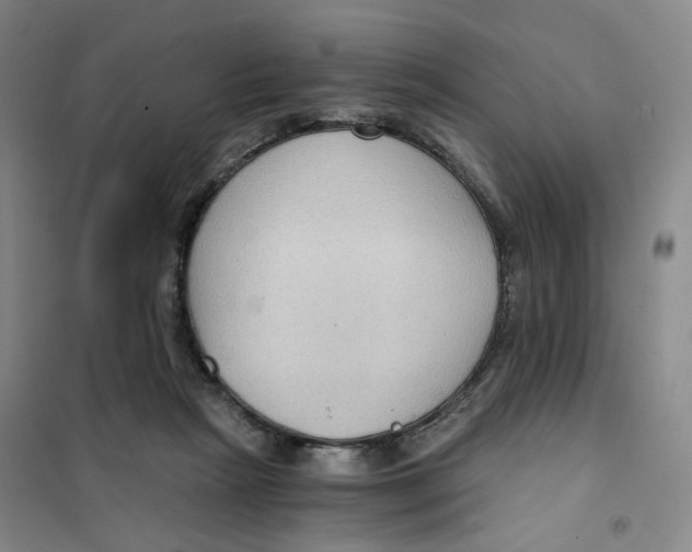 X0000101120265200807241206