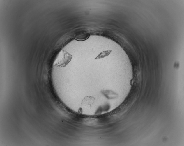 X0000101120266200807241206