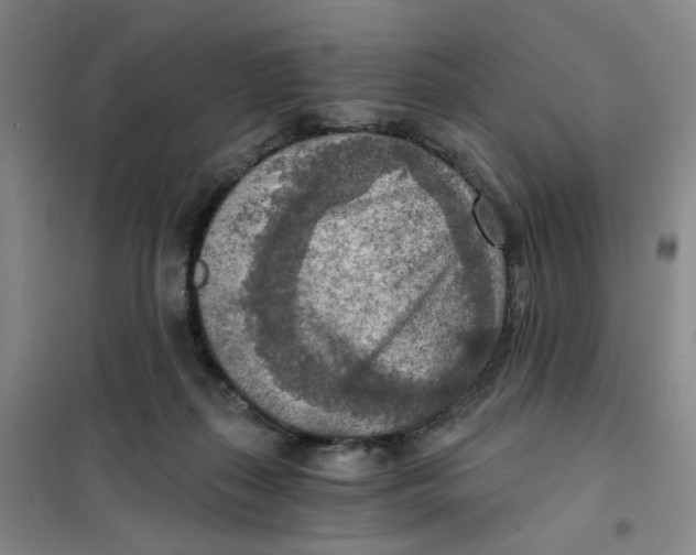 X0000101120267200807241206