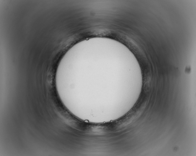 X0000101120268200807241206