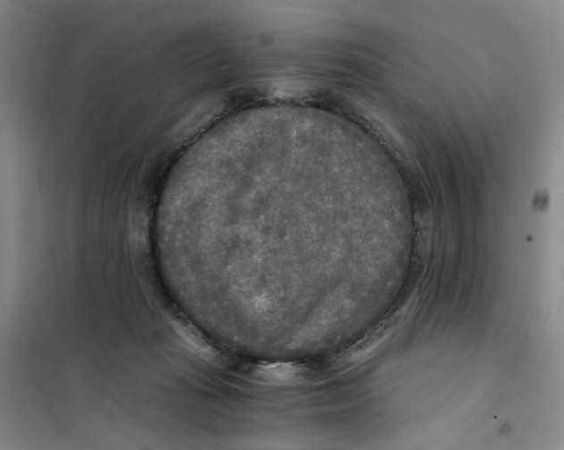 X0000101120269200807241206