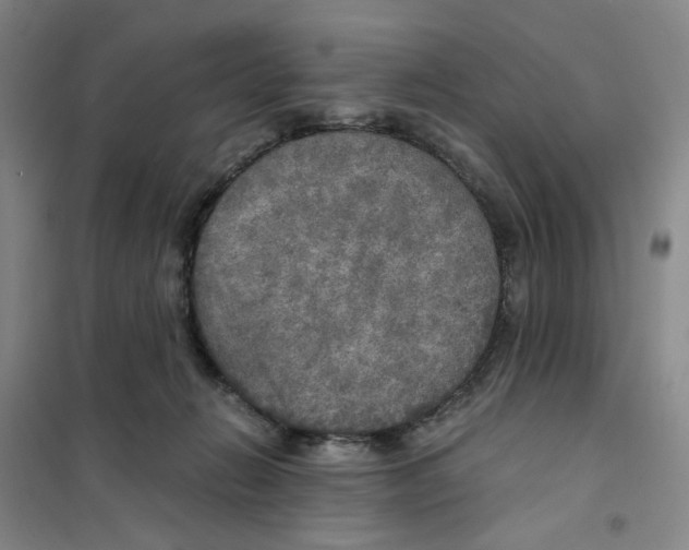 X0000101120270200807241206