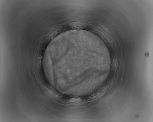 X0000101120271200807241206