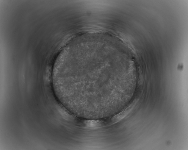 X0000101120273200807241206