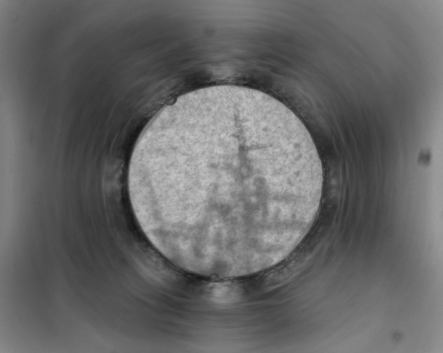 X0000101120275200807241206