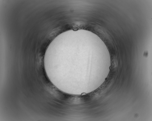 X0000101120276200807241206