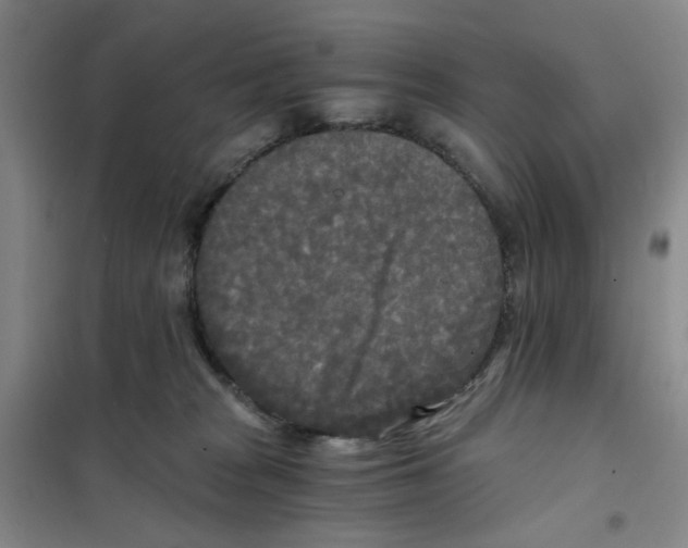 X0000101120277200807241206
