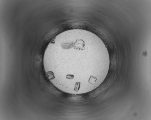 X0000101120278200807241206