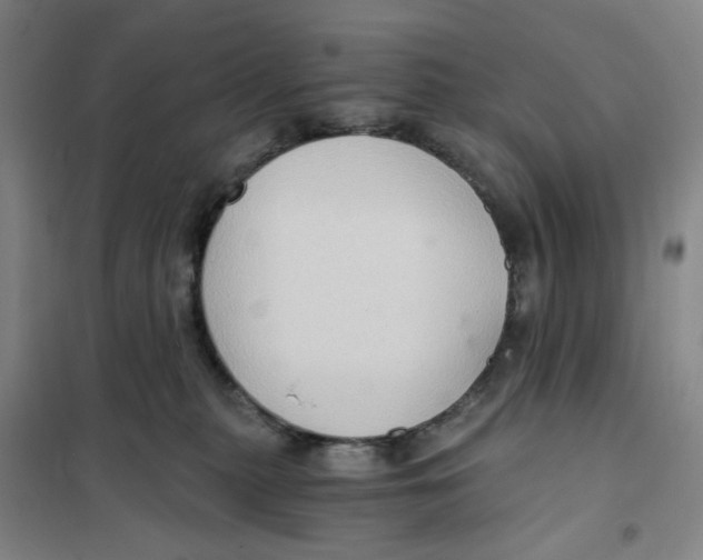 X0000101120279200807241206