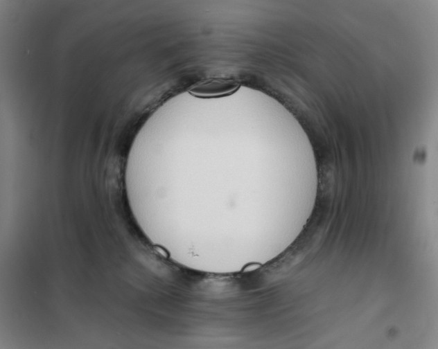 X0000101120280200807241206