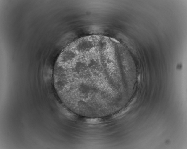 X0000101120281200807241206