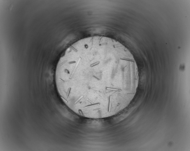 X0000101120282200807241206