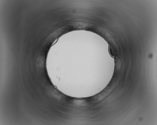 X0000101120283200807241206