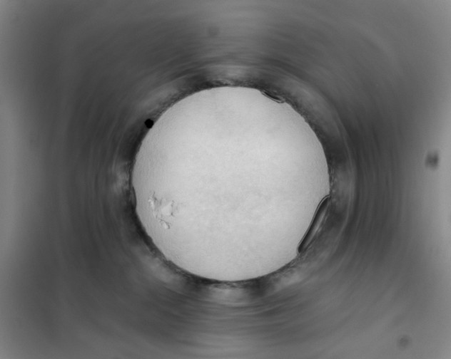 X0000101120284200807241206