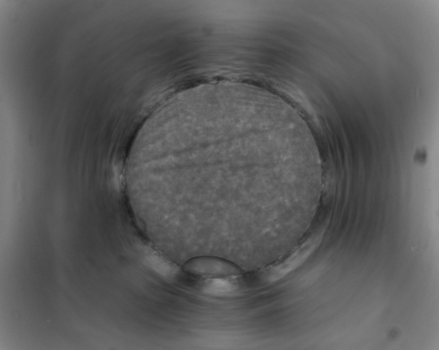 X0000101120285200807241206