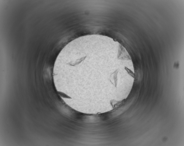X0000101120286200807241206