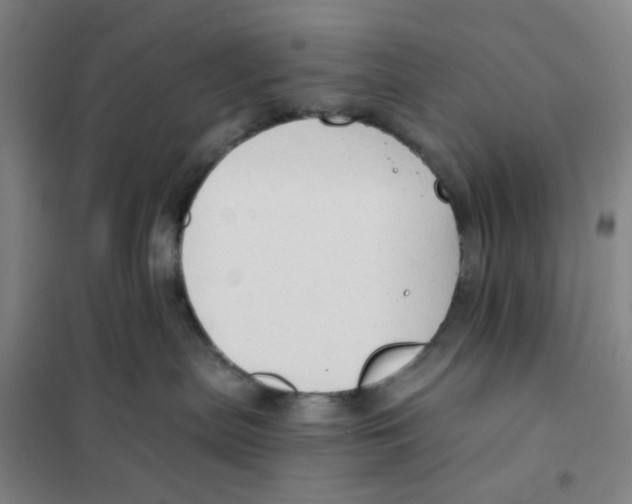 X0000101120287200807241207