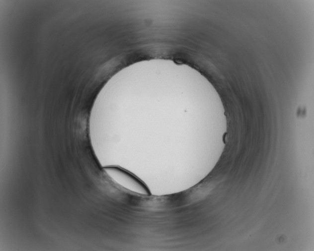 X0000101120288200807241207