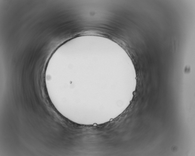 X0000101120289200807241206
