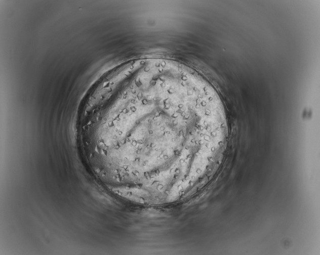 X0000101120290200807241206