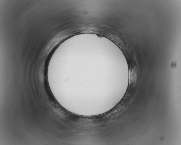 X0000101120291200807241206