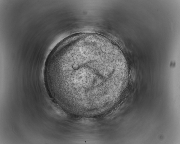 X0000101120292200807241206