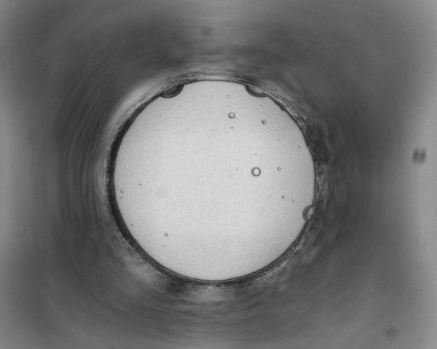 X0000101120293200807241206