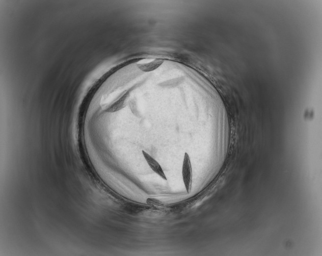 X0000101120294200807241206