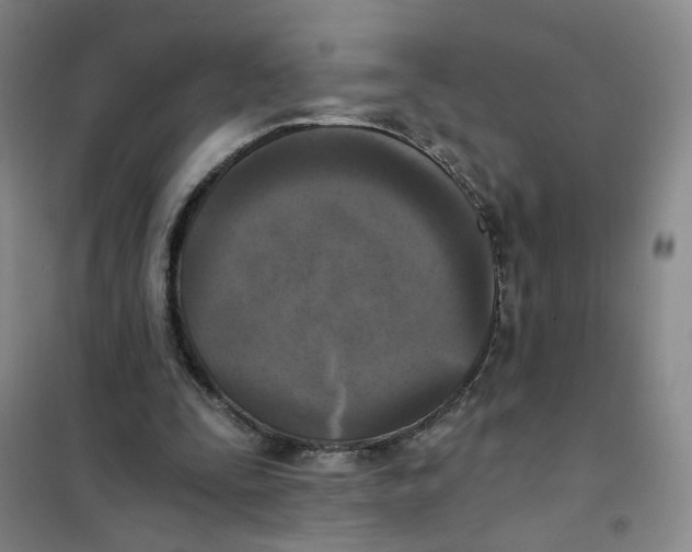 X0000101120295200807241206