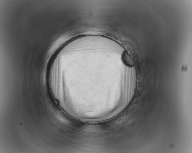 X0000101120296200807241206