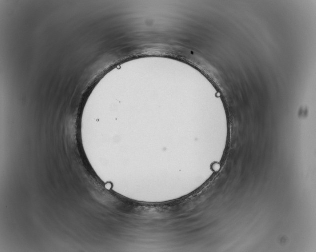 X0000101120297200807241206