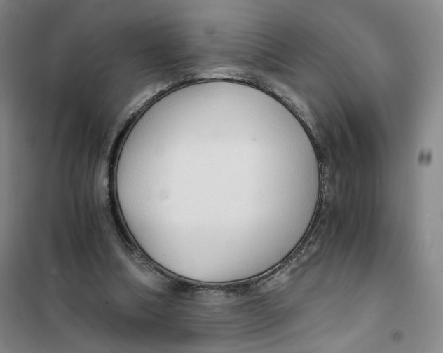 X0000101120298200807241206