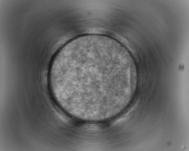 X0000101120299200807241206