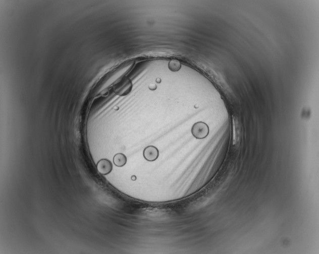 X0000101120300200807241206