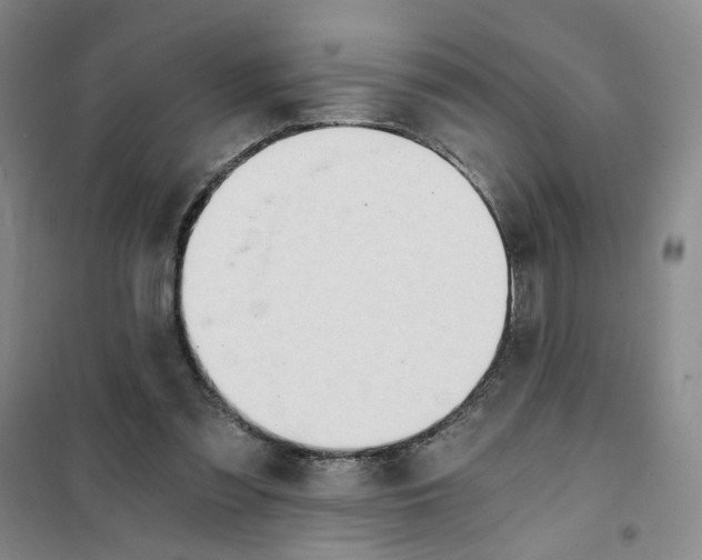 X0000101120301200807241206