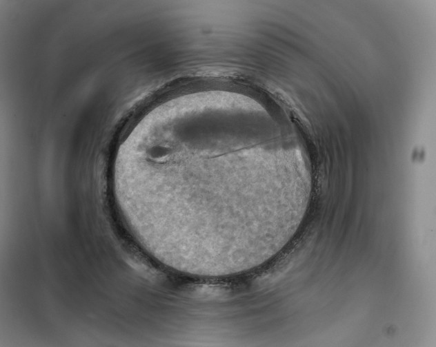 X0000101120303200807241206