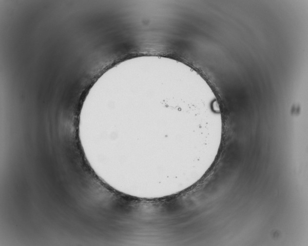 X0000101120305200807241206