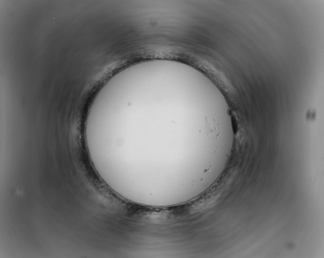 X0000101120306200807241206