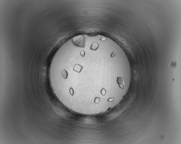 X0000101120308200807241206