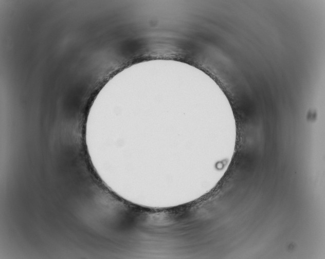 X0000101120309200807241206