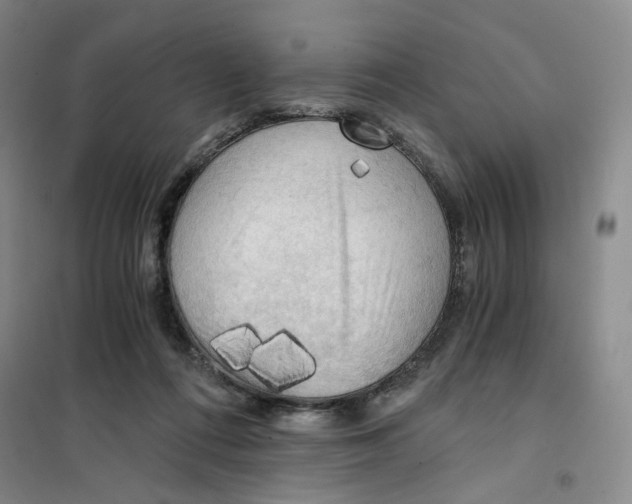 X0000101120312200807241205
