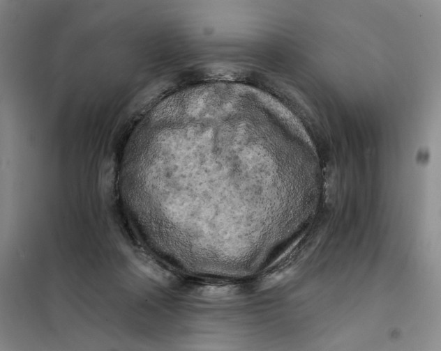 X0000101120314200807241205