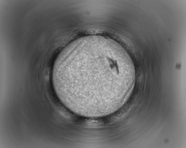 X0000101120315200807241205