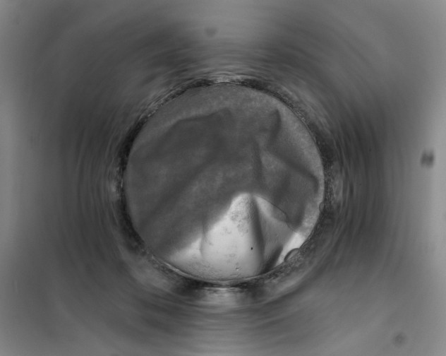 X0000101120316200807241205