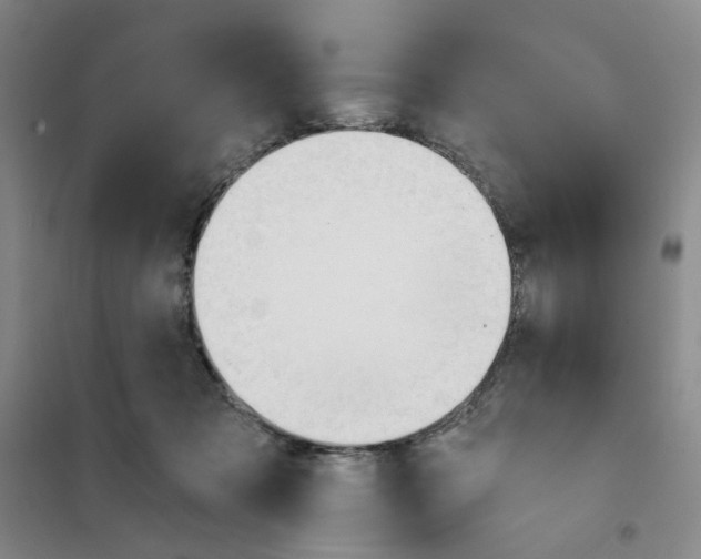 X0000101120317200807241205