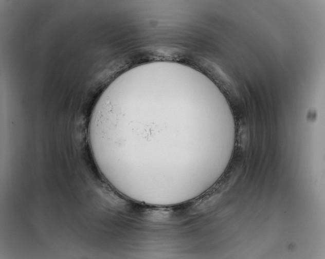 X0000101120318200807241205