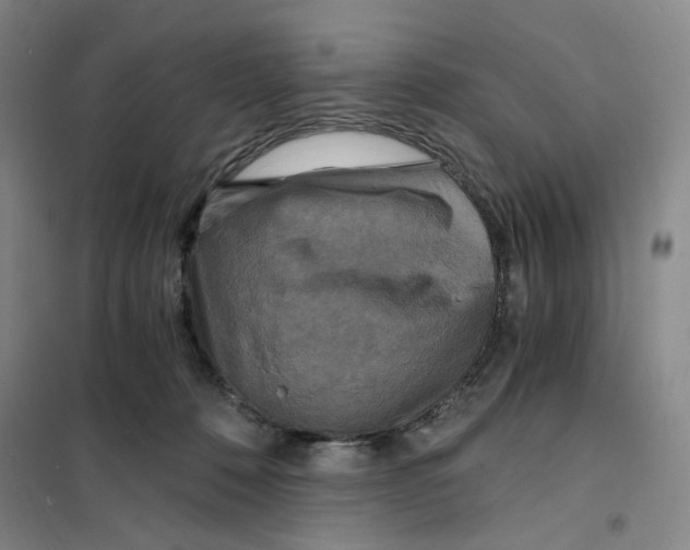 X0000101120320200807241205