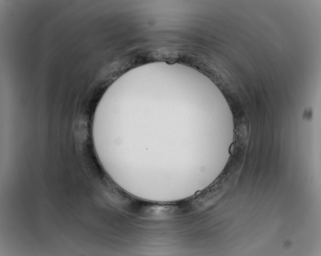 X0000101120323200807241205